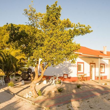 Casa Das Pipas #4 Pinhal Novo Ngoại thất bức ảnh